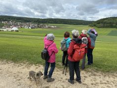 Blick auf Fleinheim